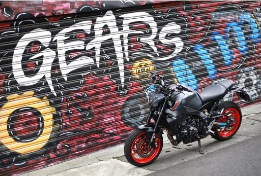 YAMAHA MT09 (21~) 前叉阻尼系統雙內管匣 倒叉 ( FFC-250-T )