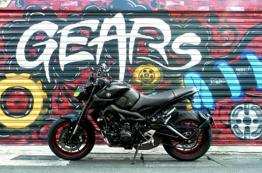 YAMAHA FZ/MT09 (12~)/XSR900 前叉阻尼系統雙內管匣 倒叉 ( FFC-250-T )