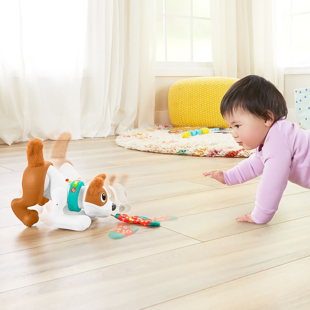奇哥 Fisher-Price 費雪 可愛爬爬小狗