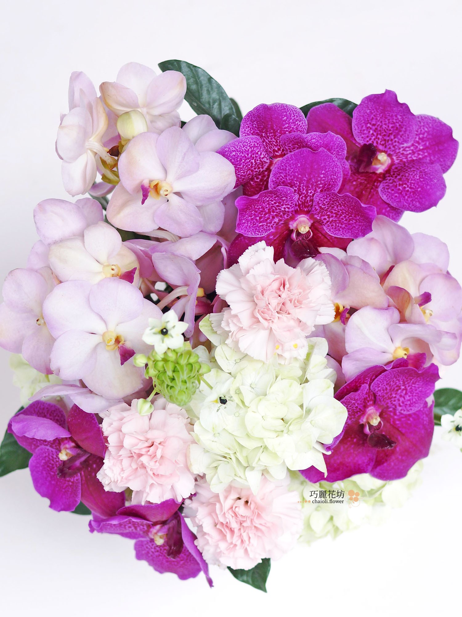 蘭花花禮