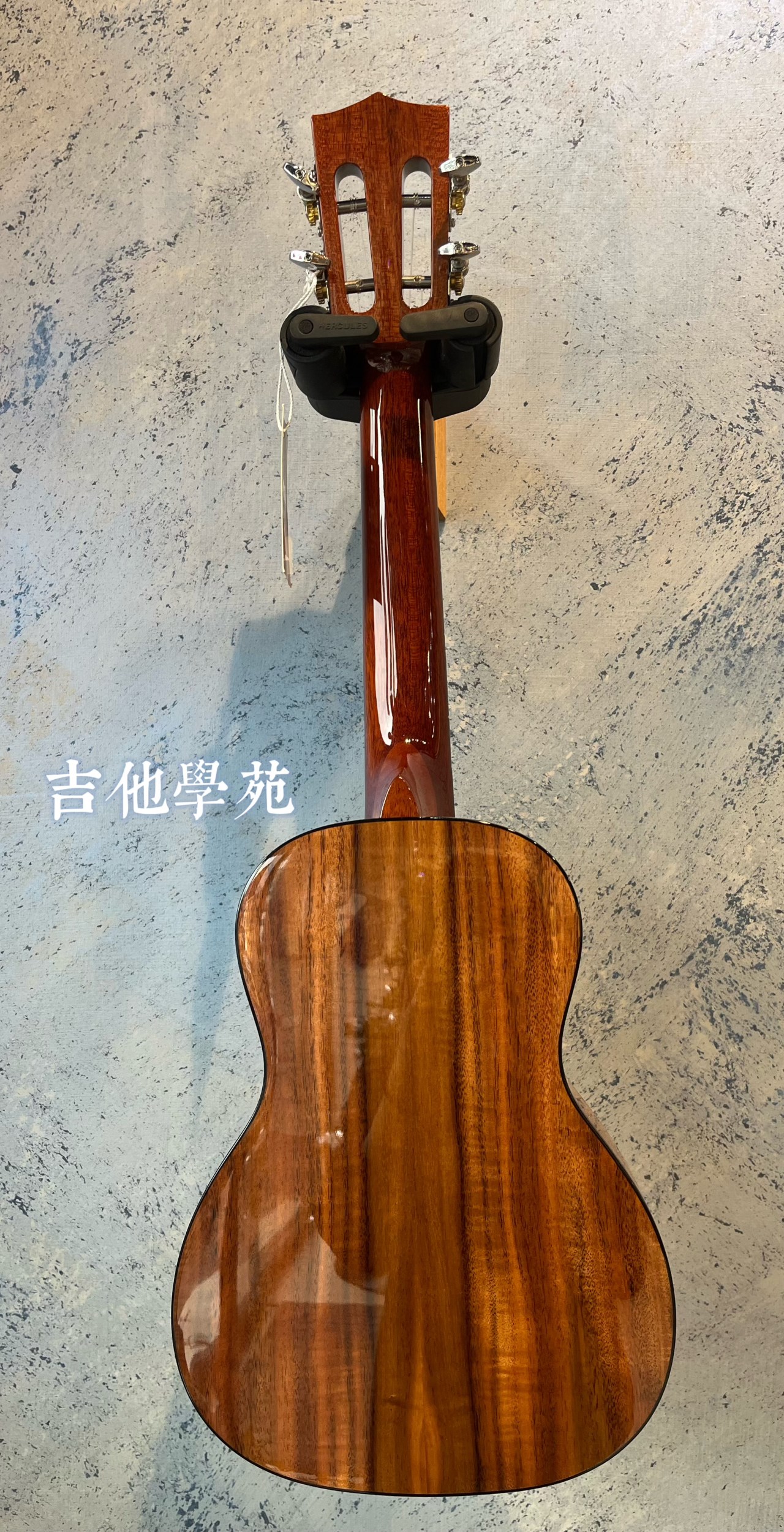 UMA相思木全單板23吋烏克麗麗