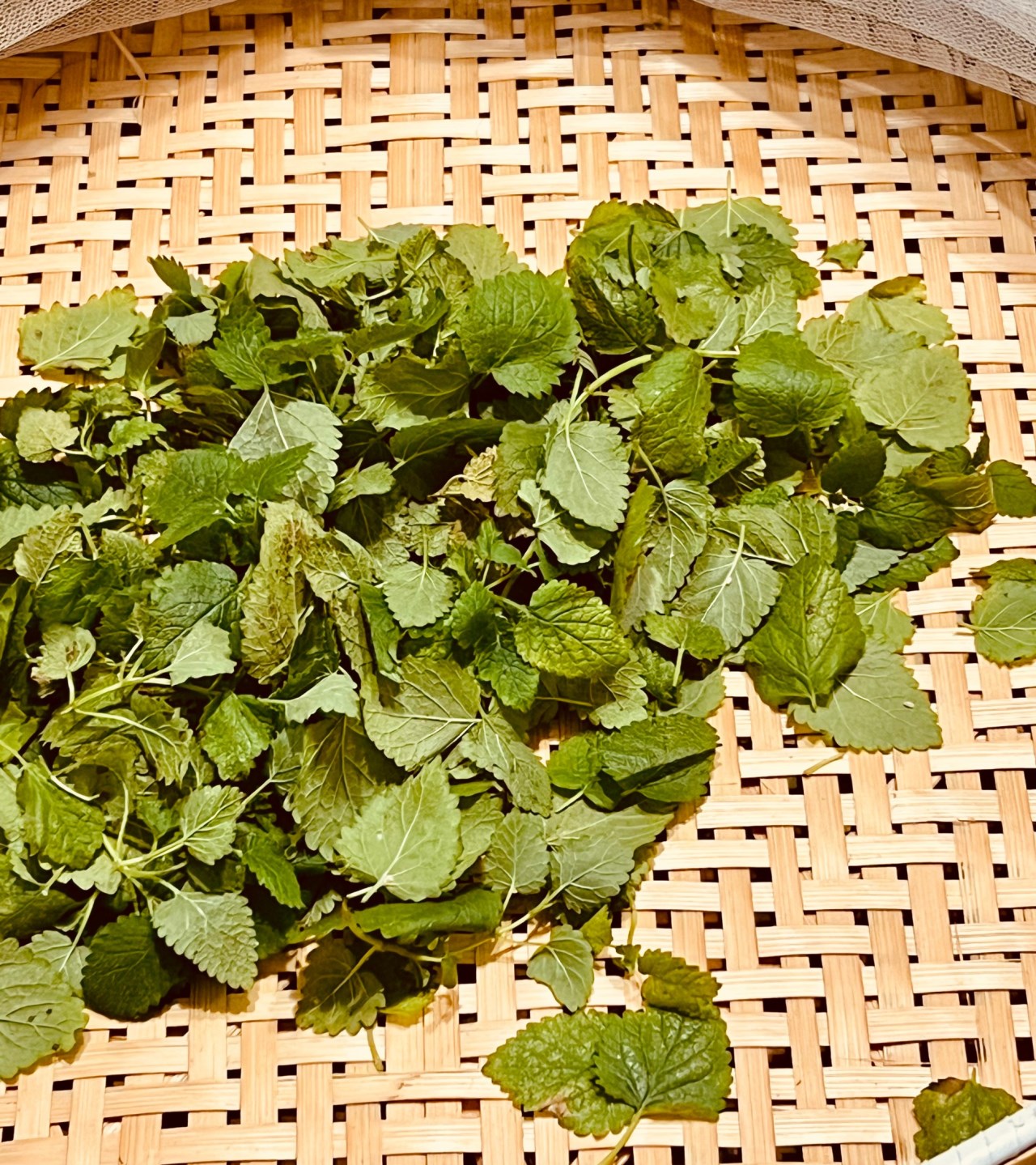 檸香草本防蚊噴霧
