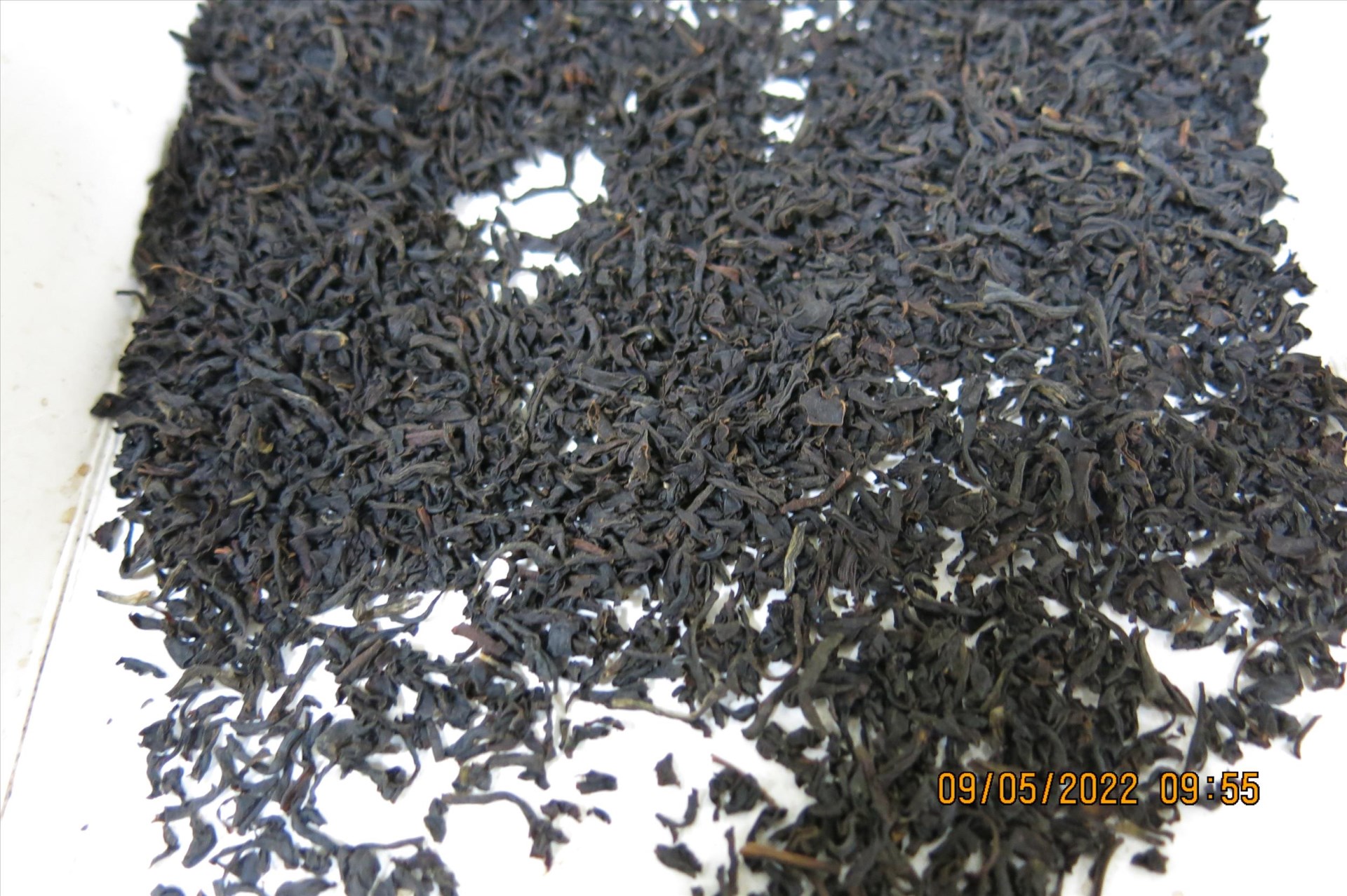 肯亞PEKOE 一台斤裝紅茶