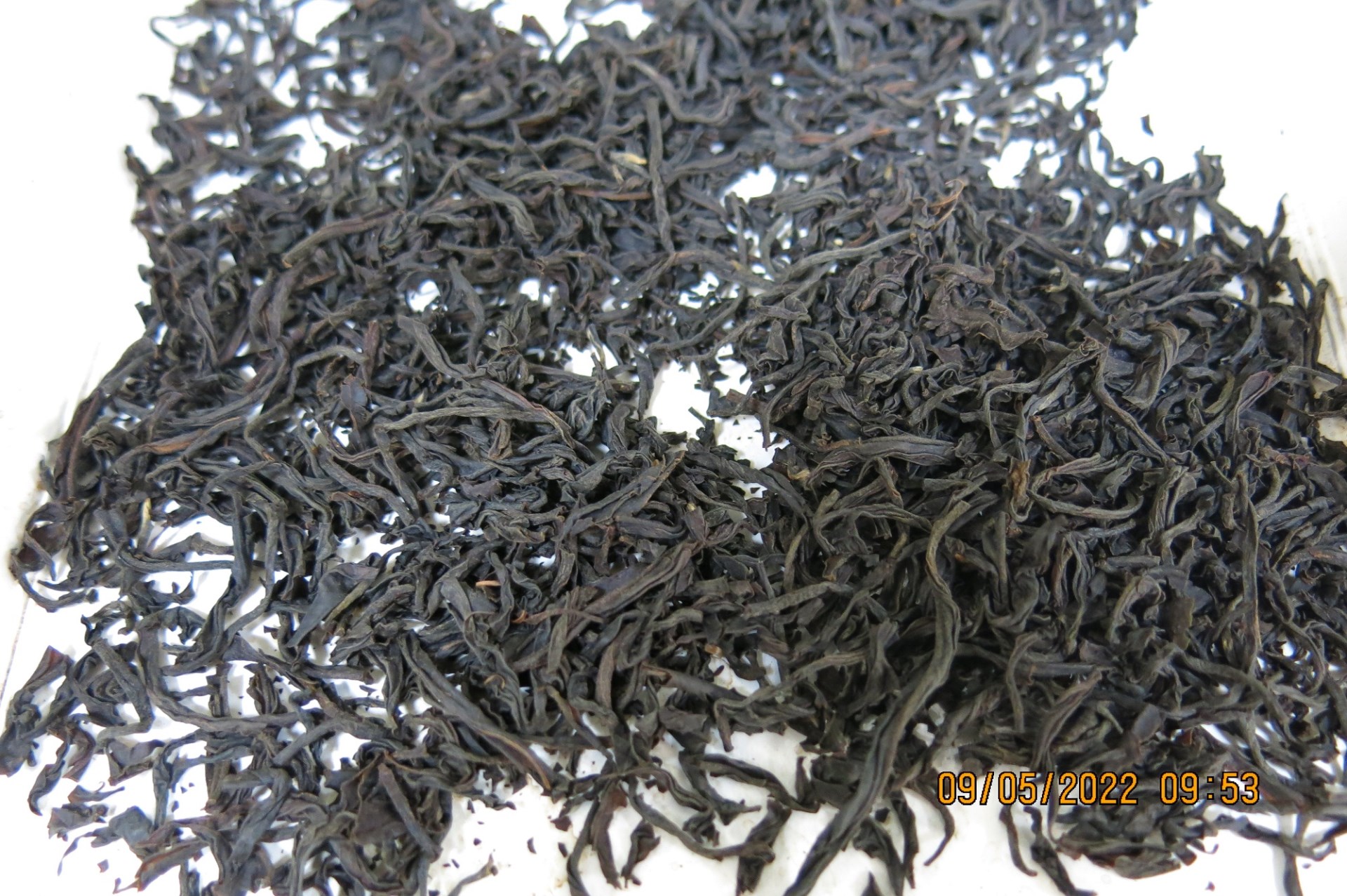 肯亞FOP幼千紅茶一台斤裝