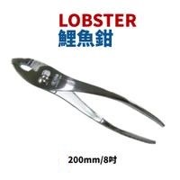 蝦牌 8" 鯉魚鉗