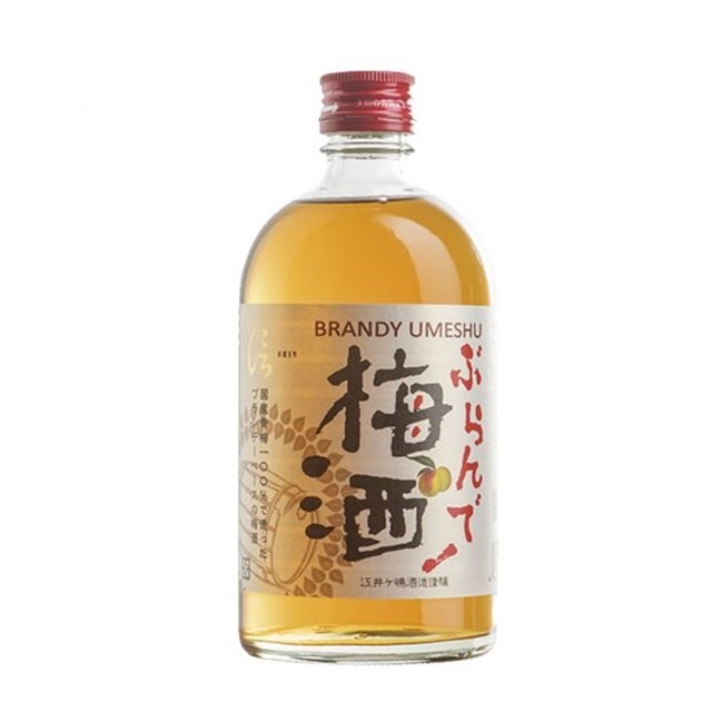信白蘭地梅酒SHIN Brandy Umeshu