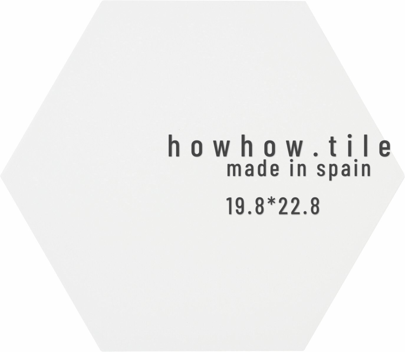 西班牙 海洋之心 六角磚 (19.8*22.8) CE-206