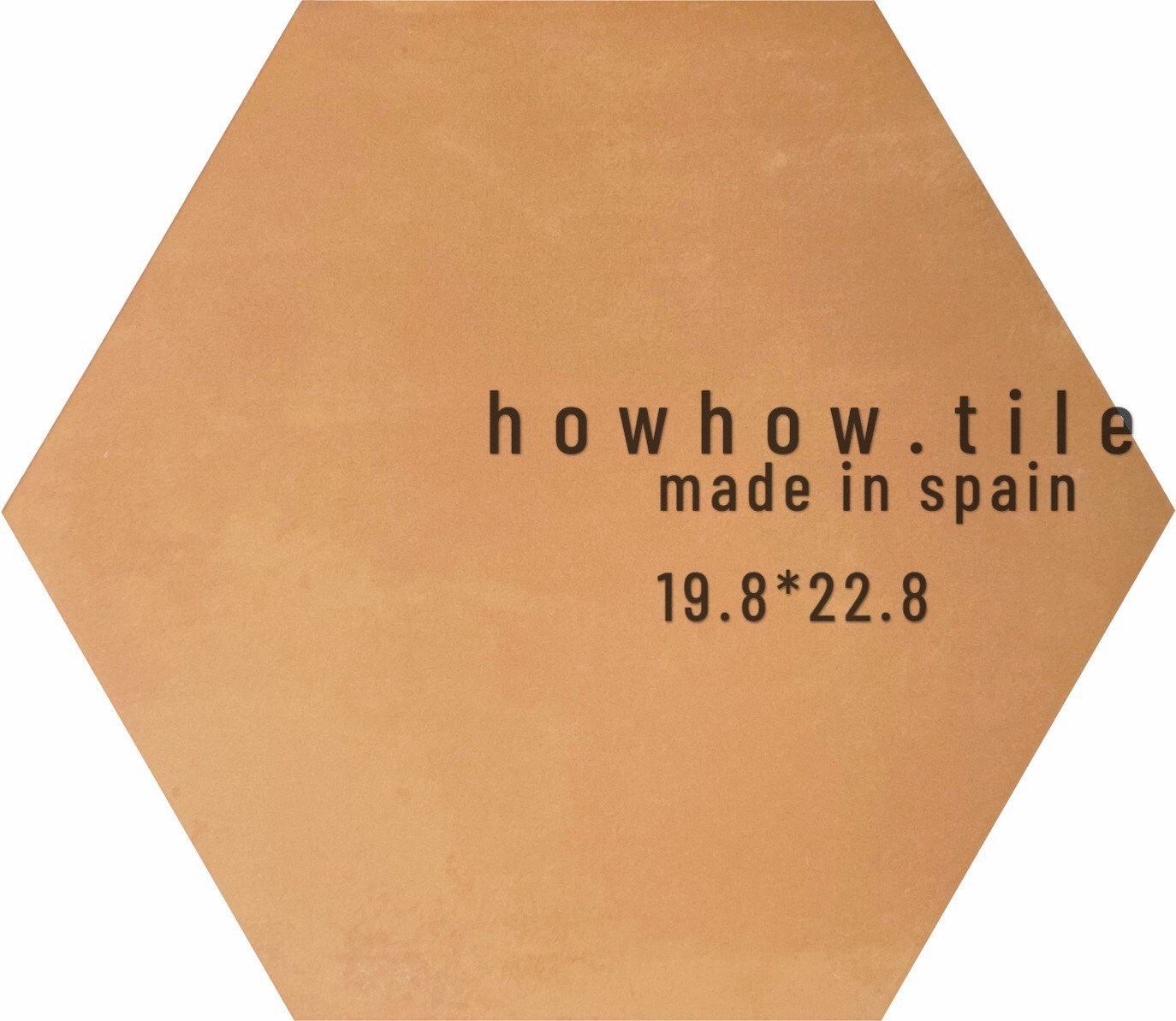 西班牙 海洋之心 六角磚 (19.8*22.8) CE-206