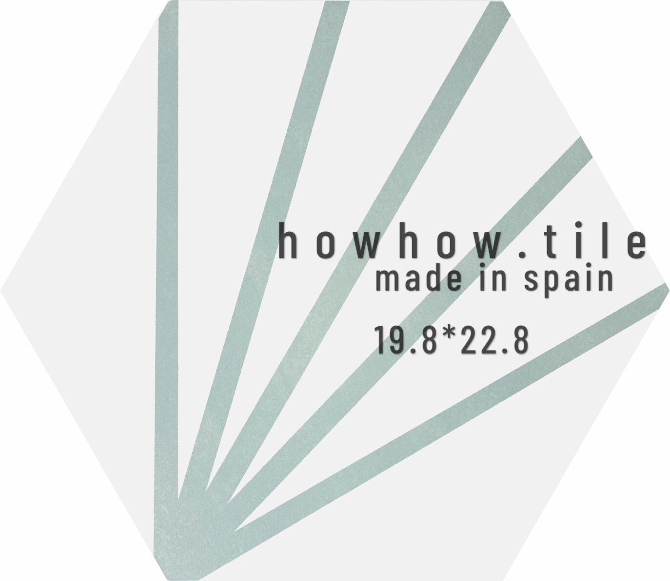 西班牙 海洋之心 六角磚 (19.8*22.8) CE-206