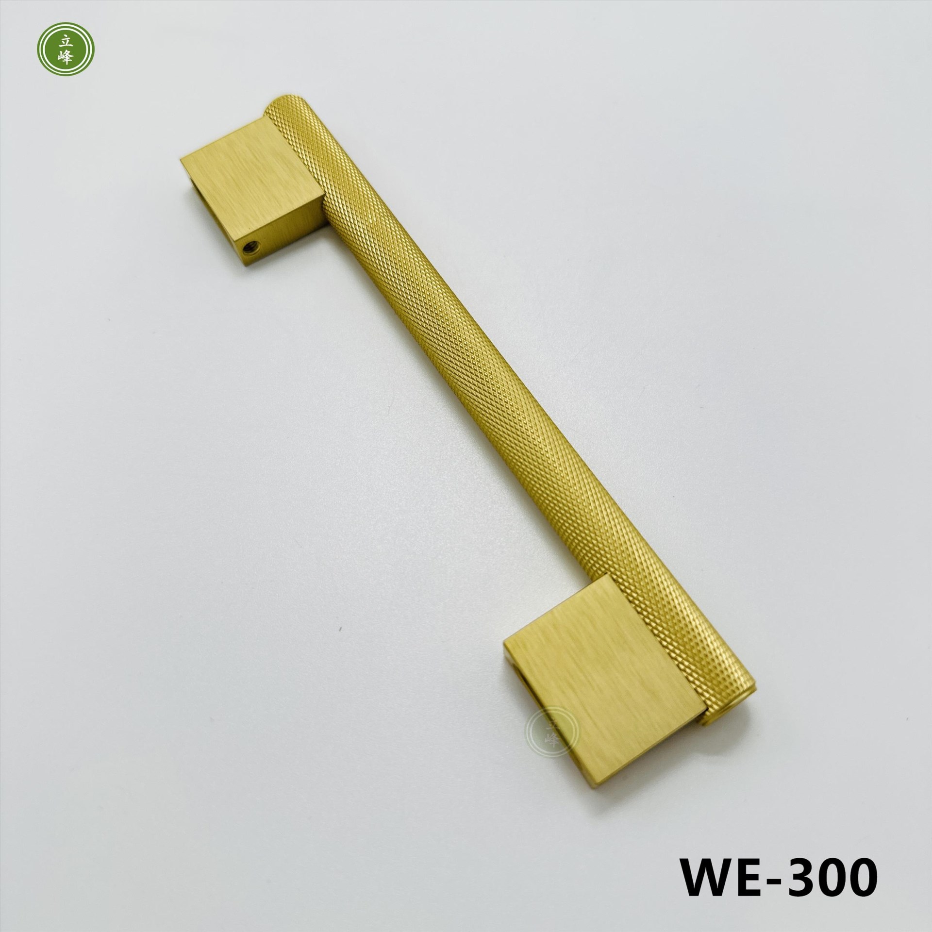 WE-300 【金色】 編織紋把手 背面鎖｜正面鎖