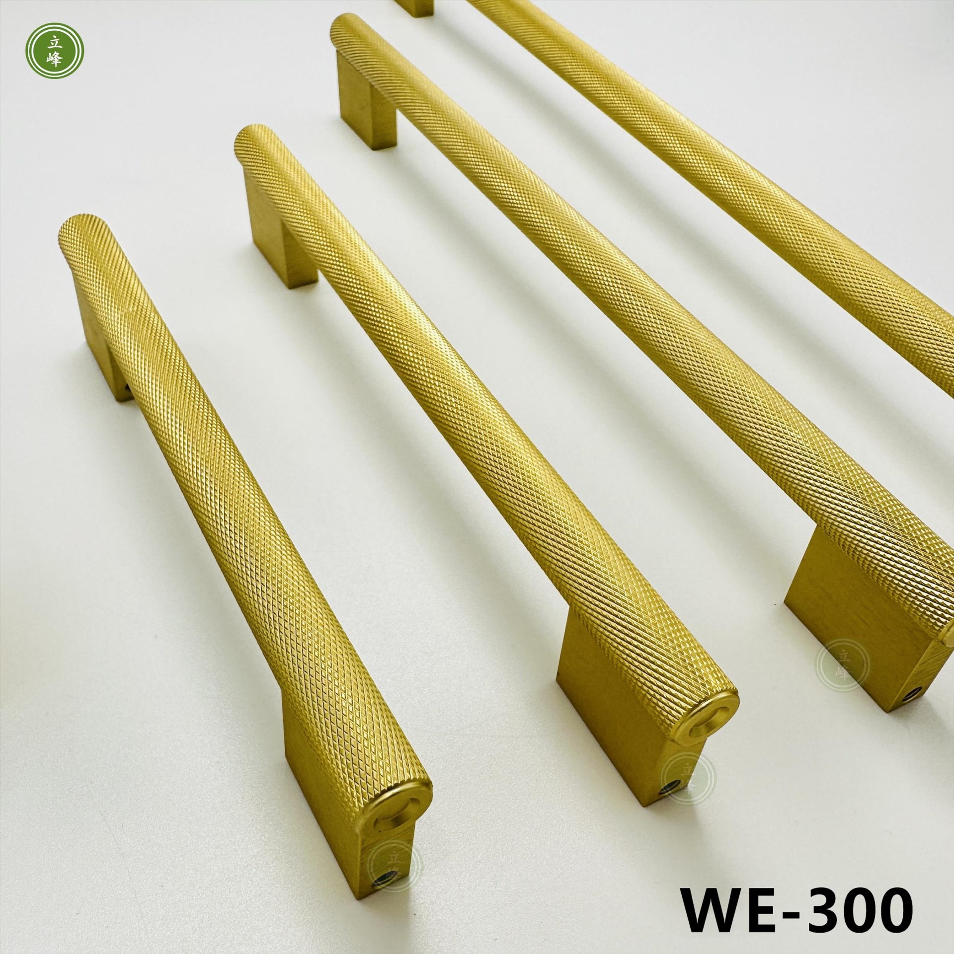 WE-300 【金色】 編織紋把手 背面鎖｜正面鎖
