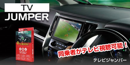 TV-NAVI跳線系列