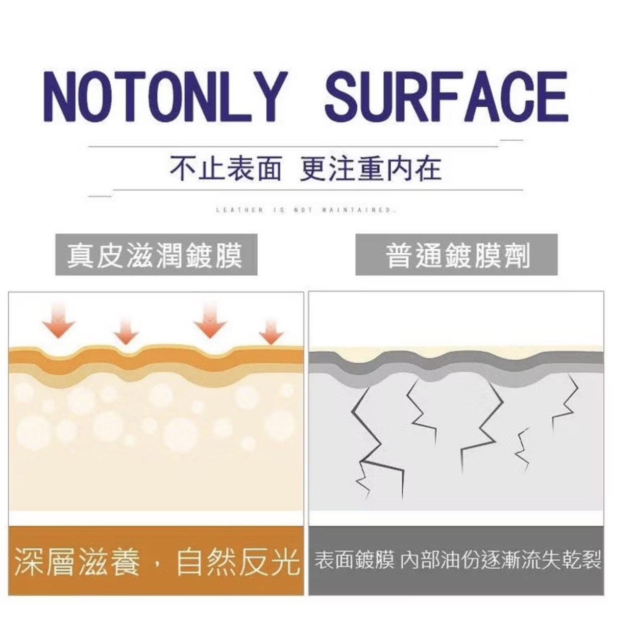 yopin終潔者氧化還原噴劑 -英文版