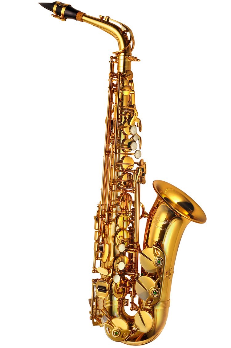 PMSA-185