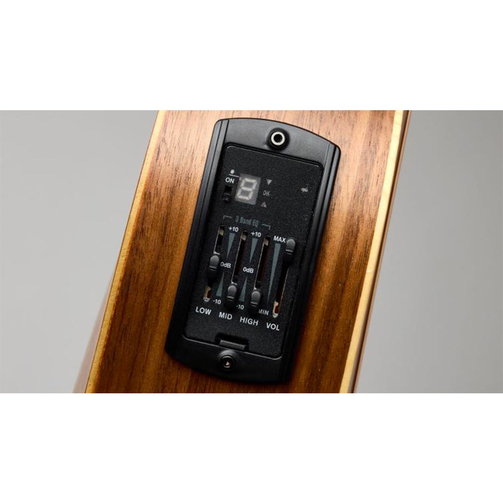 GS Mini-e Mahogany