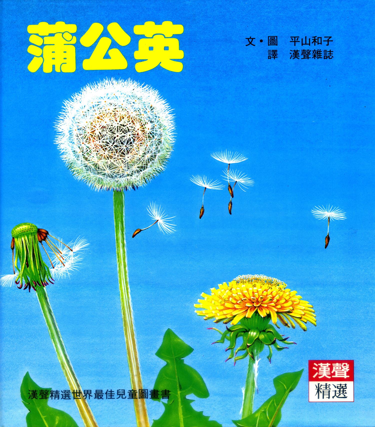 蒲公英