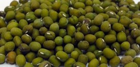 毛綠豆(青仁綠豆、綠小豆)#毛綠豆功效#毛綠豆營養#毛綠豆熱量#毛綠豆怎麼煮#毛綠豆#綠豆湯#毛綠豆 素食#五穀雜糧毛綠豆。台南、高雄、屏東皆可快速配送