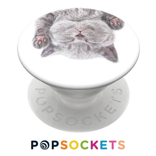 POPSOCKETS泡泡騷多功能手機支架2代-午睡貓