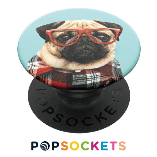 POPSOCKETS泡泡騷多功能手機支架2代-八哥斯圖