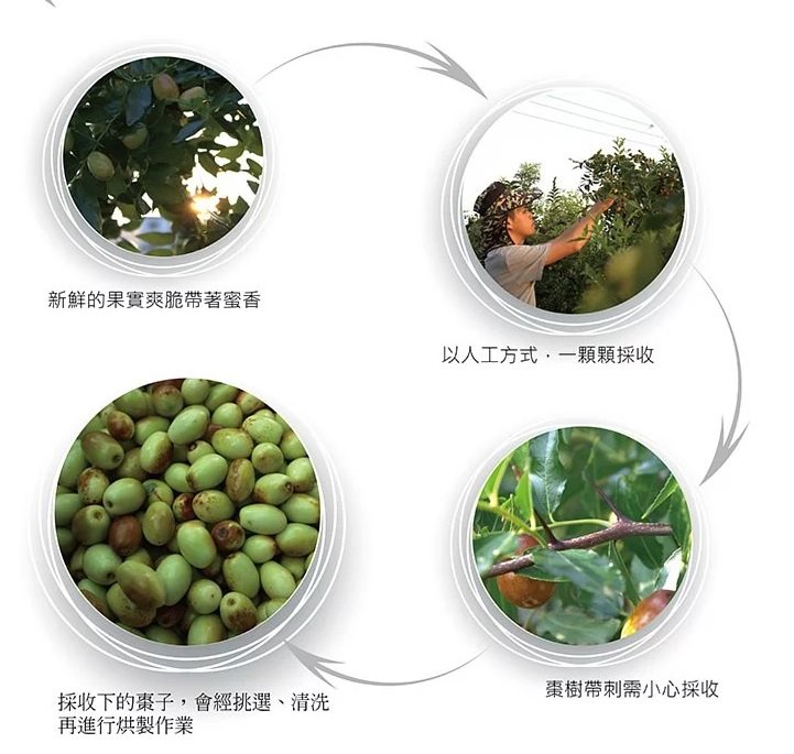 曼寧玫瑰紅棗茶補充包