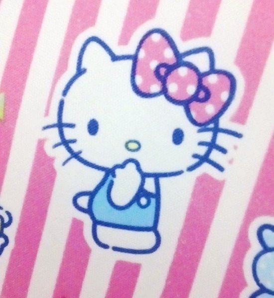 三麗鷗系列 Hello Kitty 凱蒂貓 保溫保冷瓶袋.水壺袋 保冷袋. 保溫袋 .水瓶袋~ 25532 KT
