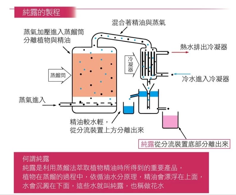 有機玫瑰純露 560ml / 瓶