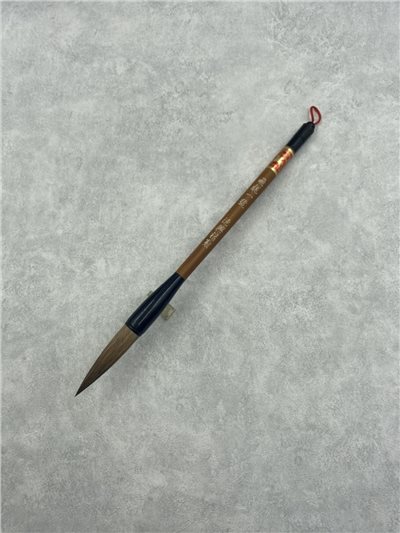 飛龍一號