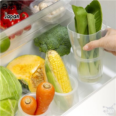 日本製 生菜罐 冰箱蔬菜保存盒