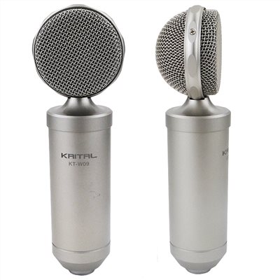 中古器材出清-KAITAL KT-W09 指向性麥克風-功能正常限自取