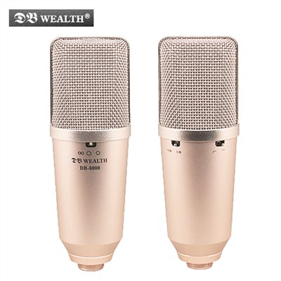 中古器材出清-WEALTH DB-8000 大膜片多指向性錄音麥克風-需自取
