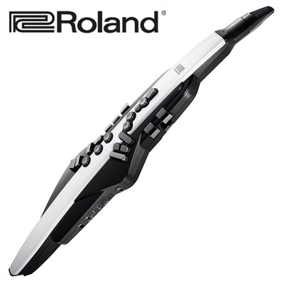 Roland Aerophone AE-20 數位電子吹管/薩克斯風/流線型設計/原廠公司貨