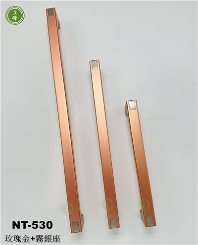 NT-530玫瑰金+霧銀座