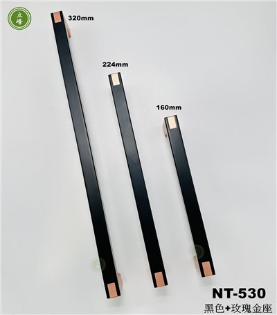 NT-530黑色+玫瑰金座