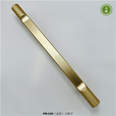 LIFENG-PM-240（金色）大把手組
