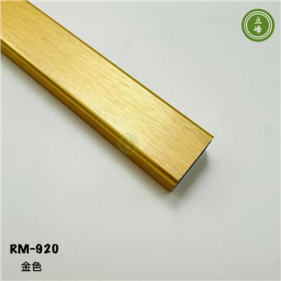 RM-920衣桿_金色 