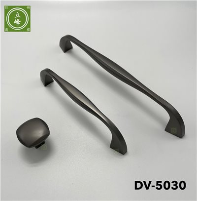 DV-5030 黑色