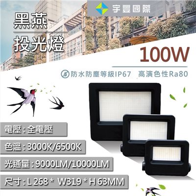 【宇豐國際】含稅 台灣品牌 LED 100W 黑燕投光燈 投射燈 廣告招牌燈 戶外投光燈 全電壓 黃光/白光 保固一年
