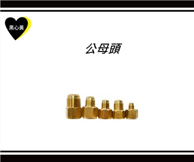 公母頭