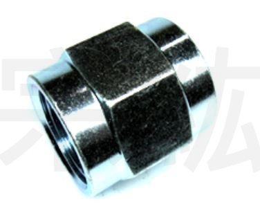 TTF 六角雙內牙 PT