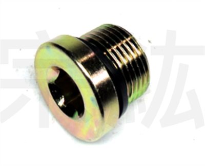 IFP 內六角塞頭 PF(MM)