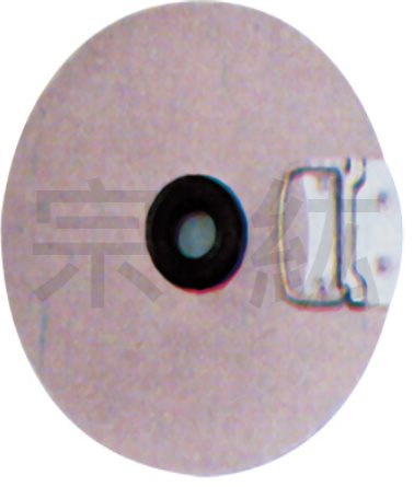 KG-U5G、KG-U5G-＃3  日式黃油桶專用壓力板