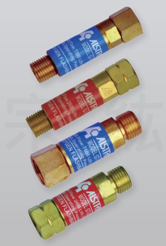 GP/GT 乾式防爆器