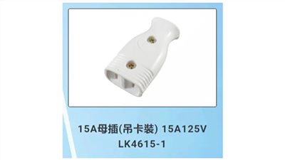 隆光LKEW 15V 125V母接插座 LK4615-1