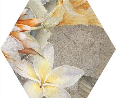 西班牙 暮光森林六角磚  23*27cm RJ294