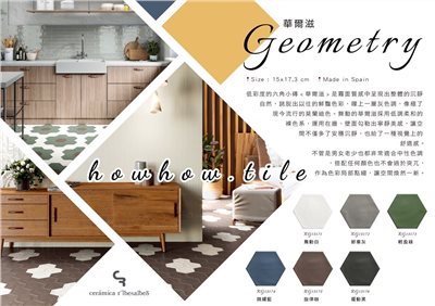 西班牙進口 華爾茲六角磚（15*17.3cm)*AD148