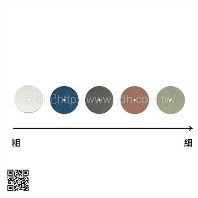 替換式 進口大圓盤膠片
