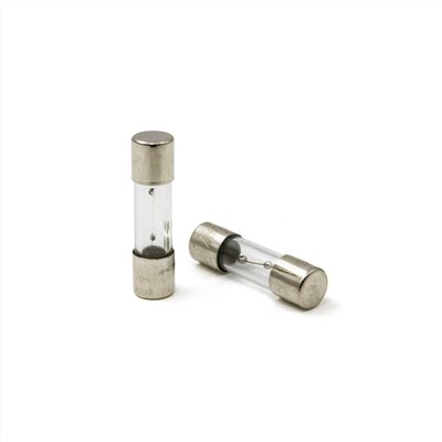20mm 8A 250V 玻璃保險絲 慢熔型 1包2入