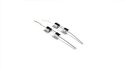 20mm 帶焊腳保險絲  0.5A 250V  1包2入