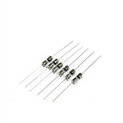 10mm 臥式針腳保險絲  10A 250V    1包2入