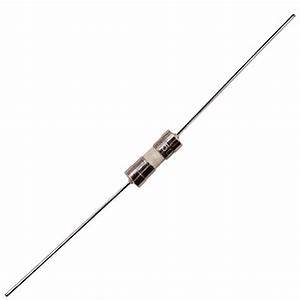 帶焊腳 10mm 陶瓷保險絲  2A